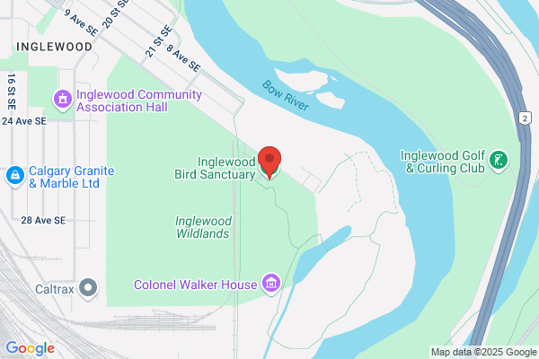 Inglewood Bird Sanctuary, Wildlife
