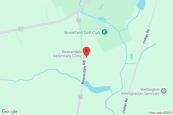 Beaverdale Veterinary Clinic