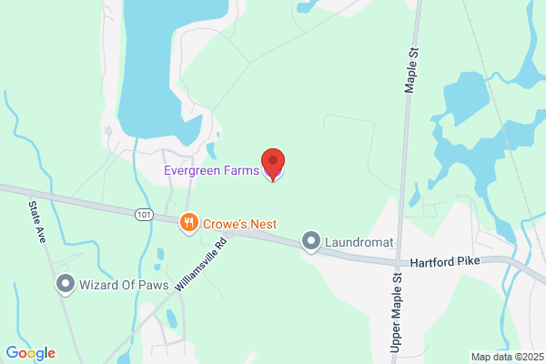 Evergreen Farms