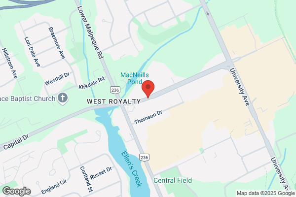 Lady Slipper Chiropractic & Wellness Centre