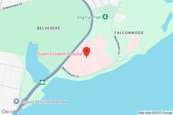 Hospitals and Health Centres, Queen Elizabeth Hospital, Hospitality Network (Patient Tv)