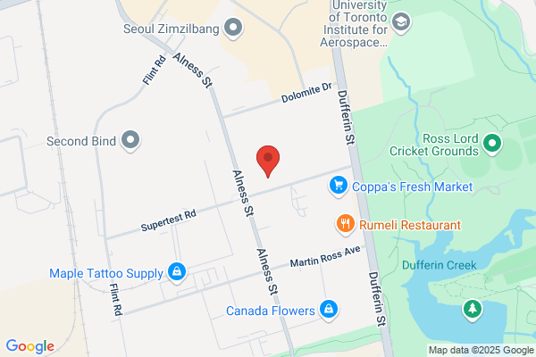 High-Level Movers Toronto Moving Company