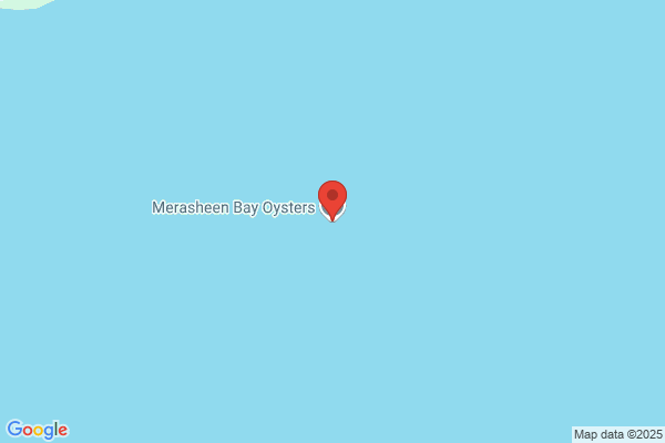 Merasheen Warehousing