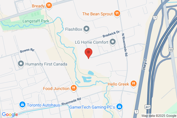 12 Bradwick Drive Ltd