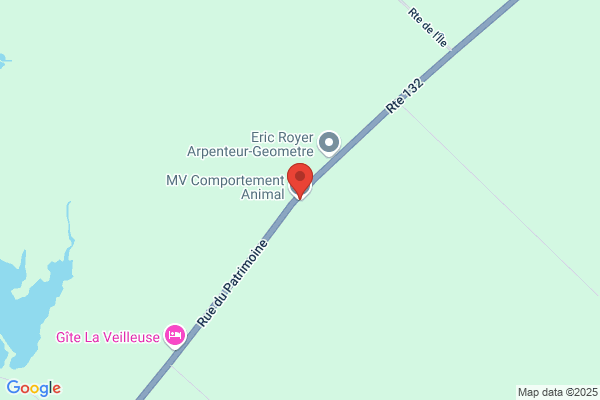 MV Comportement Animal