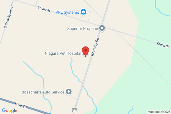 Niagara Pet Hospital