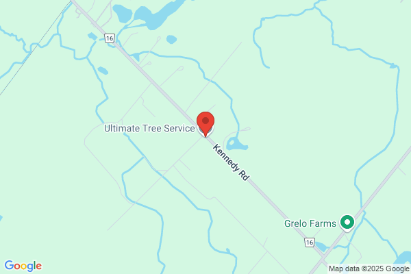 Ultimate Tree Service