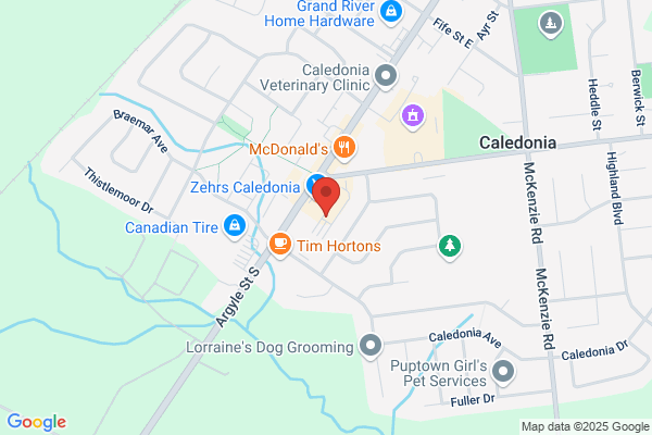 Caledonia Orthodontics