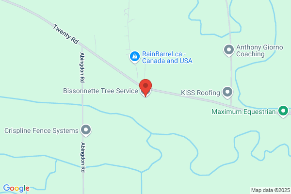Bissonnette Tree Service
