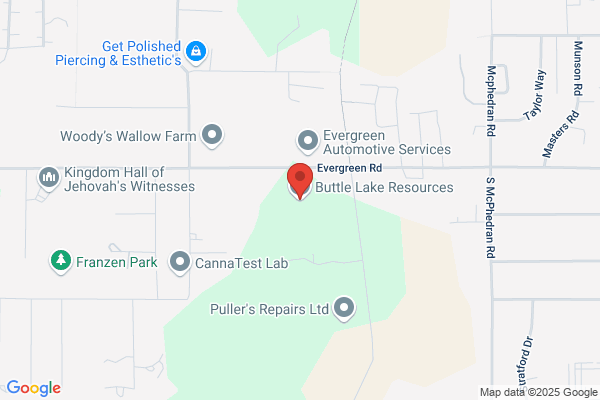 Buttle Lake Resources Ltd