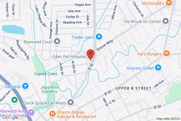Eden Cat Veterinary Clinic