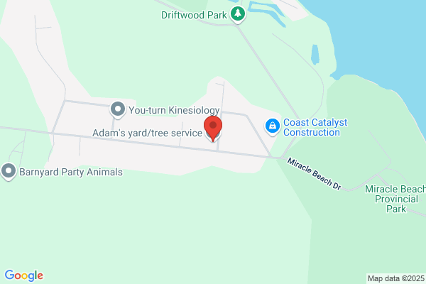 Adams Tree Service
