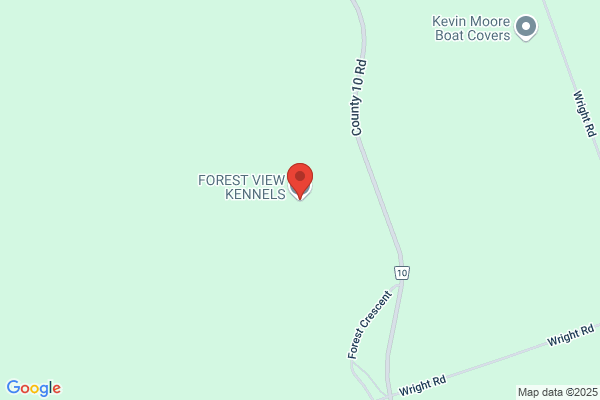 Forest View Kennels
