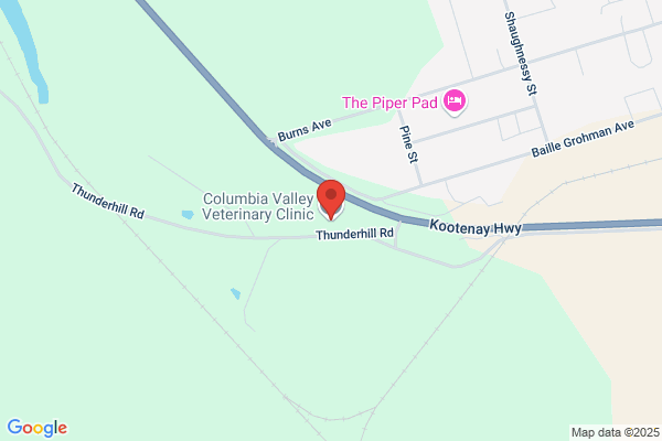 Columbia Valley Veterinary Clinic