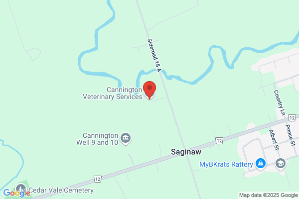 Cannington Veterinary Services