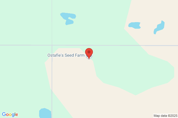 Ostafie's Seed Farm
