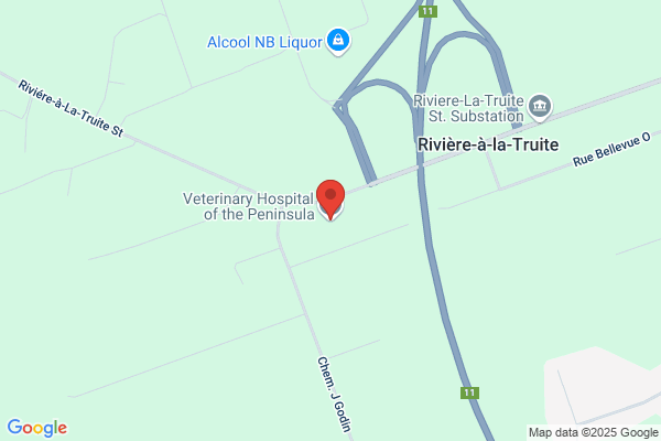 Hôpital Vétérinaire de la Péninsule