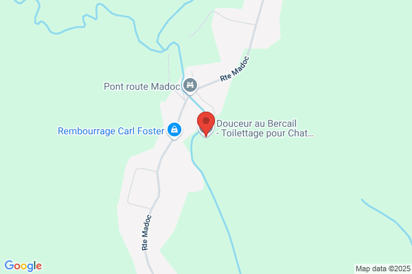 Douceur au Bercail - Toilettage pour Chat à Domicile