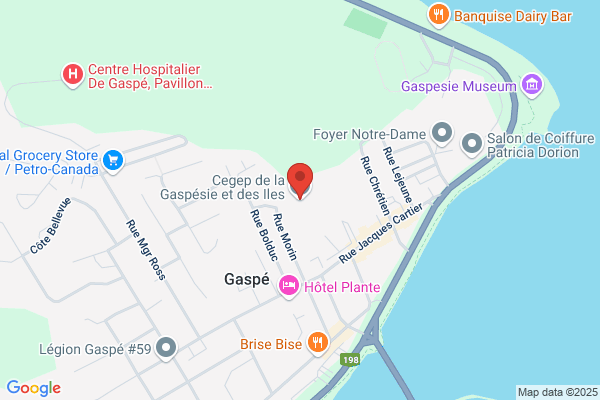 Cegep De La Gaspesie & Des Iles, Groupe Colleegia