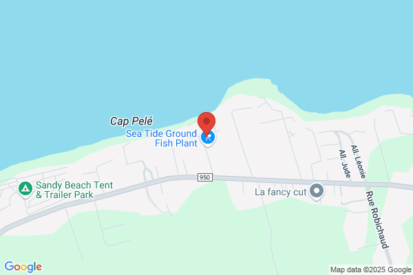 Sea Tide Import & Export Ltd