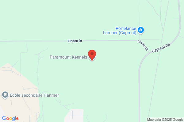 Paramount Kennels