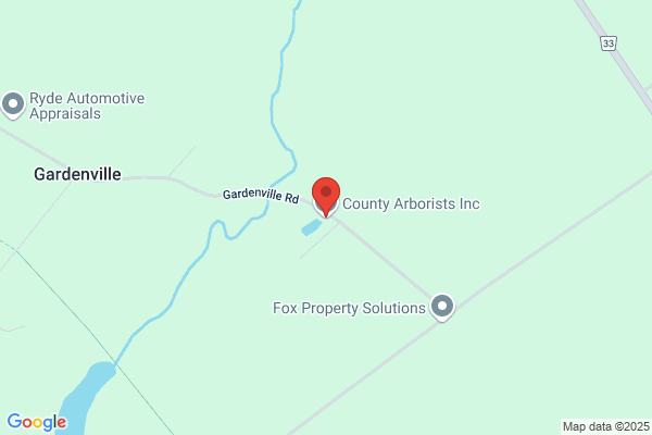 County Arborists Inc