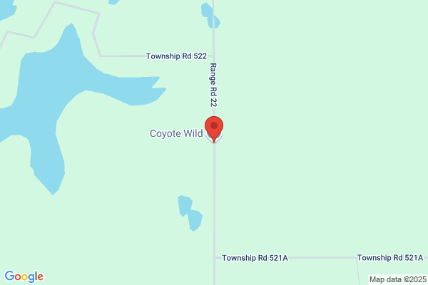 Coyote Wild Inc