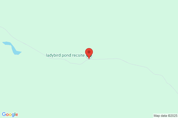 Ladybird Construction Ltd