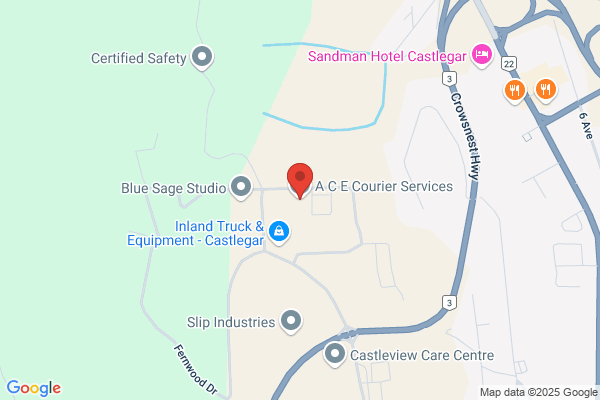 A C E Courier Services