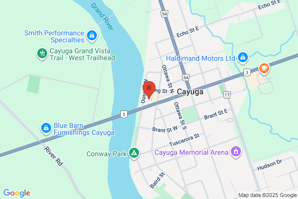 Cayuga Pets'n More