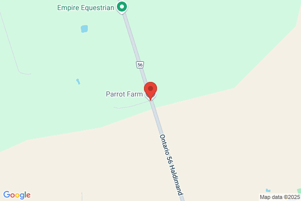 Parrot Farm