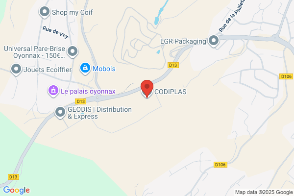 Codiplas Inc