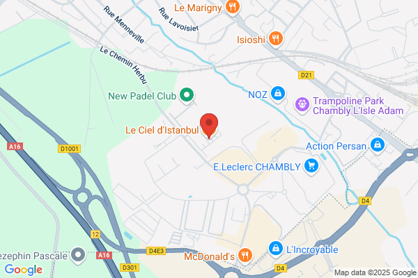 Docteur du Pare-Brise