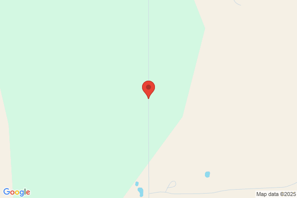 Northern Rockies Tree Service