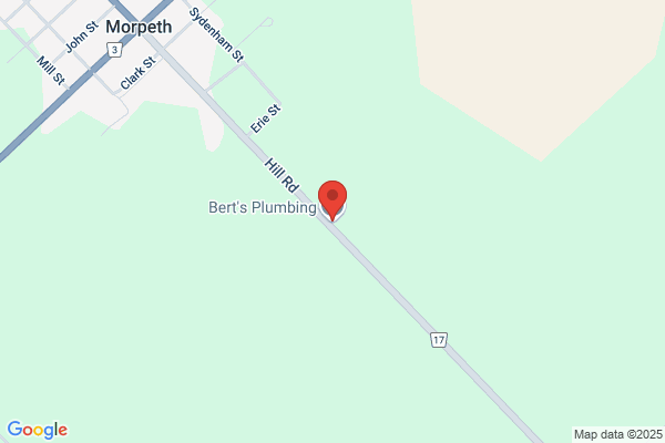 Bert's Plumbing
