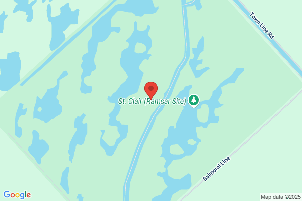 Environment, Environment Canada, Ontario Region, St Clair National Wildlife Area