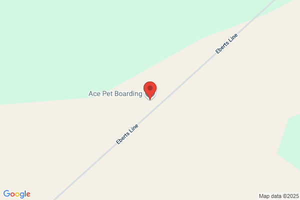 Ace Pet Boarding