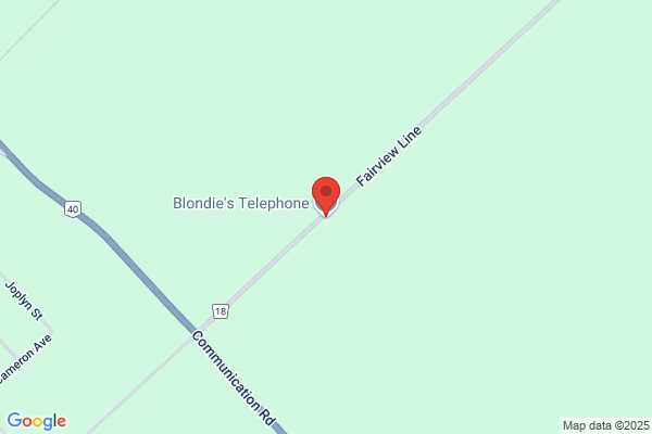 Blondie's Telephone