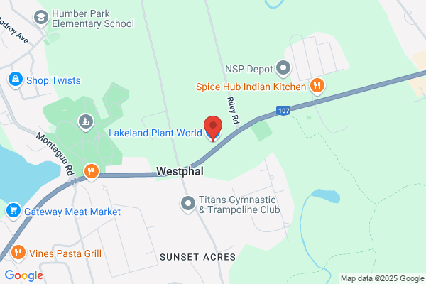 Lakeland Plant World