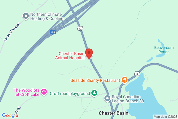 Chester Basin Animal Hospital Ltd