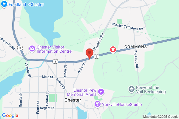 Chester Irving & Convenience