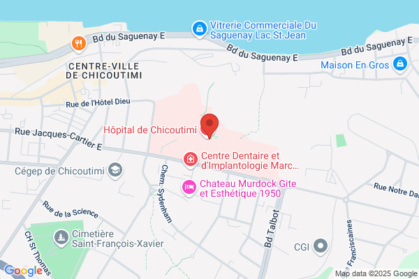 Complexe Hospitalier De La Sagamie, Equipe De Direction, Direction Des Services Professionnels