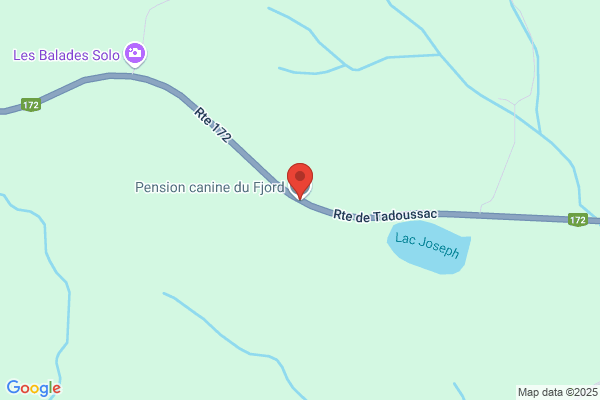 Pension Féline Du Fjord