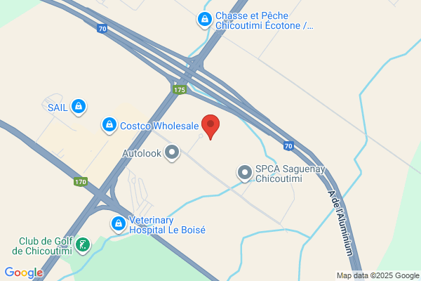 Gilbert Auto Inc