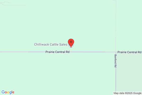 Chilliwack Cattle Sales