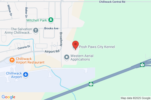 Posh Paws City Kennel