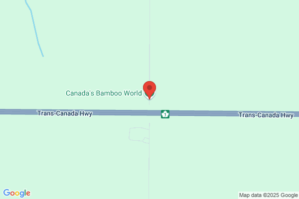 Canada's Bamboo World