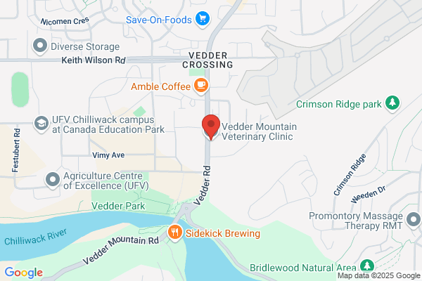 Vedder Mountain Veterinary