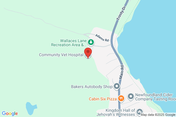 Community Vet Hospital