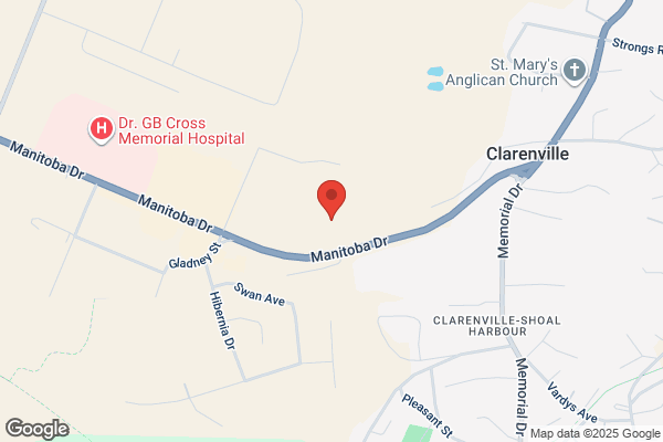 Cabot Pharmachoice